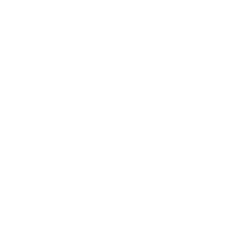 PREAIR CARGO logo