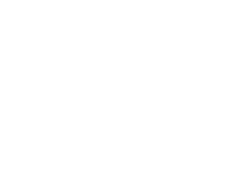 Community Paramedic Course outline